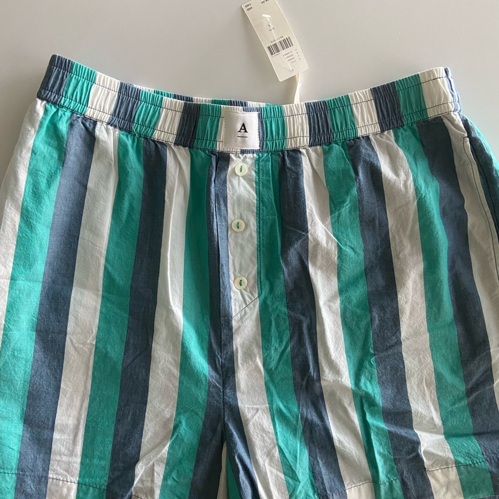 Anthropologie Striped Women's Shorts